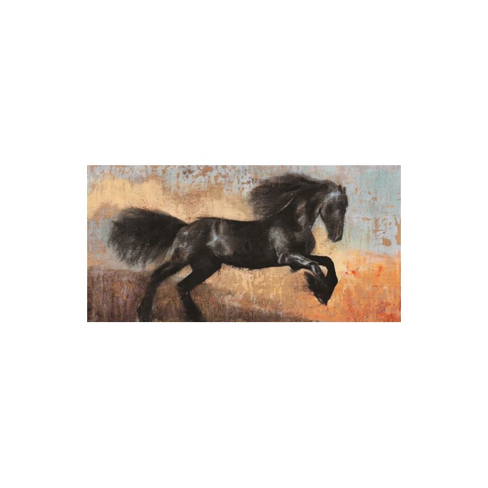 BLACK STALLION