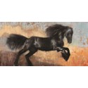 BLACK STALLION