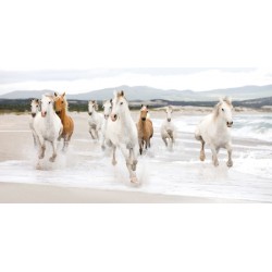 HORSES ON THE BEACH (DETAIL)