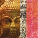 SIDDHARTA (DETAIL)