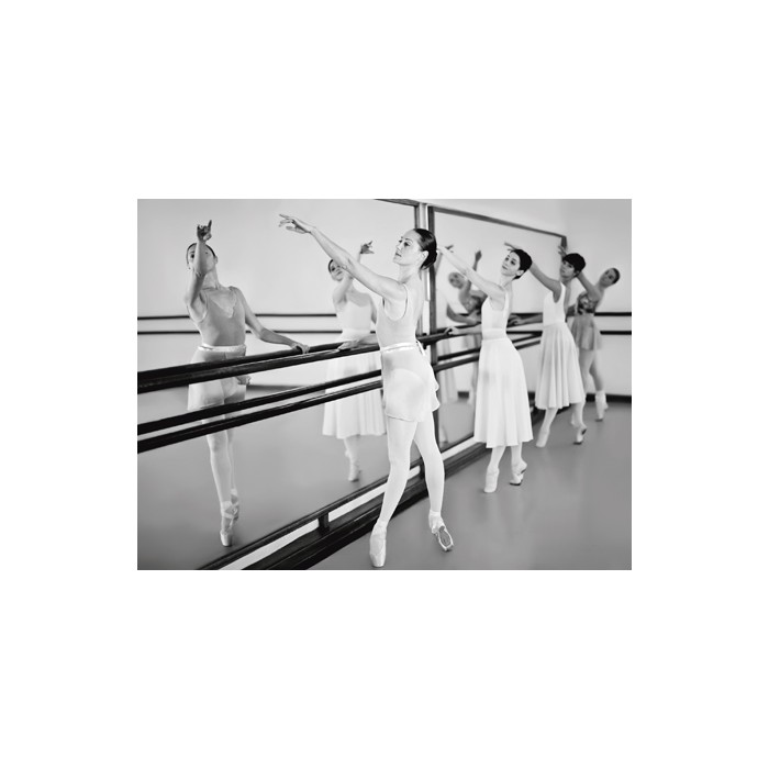 BALLET DANCERS POSING AT BARRE (DETAIL)