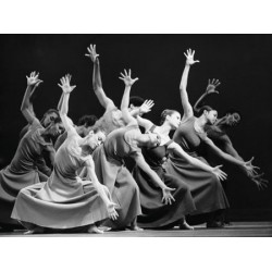 ALVIN AILEY AMERICAN DANCE THEATER PERFORMERS