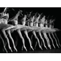 ROYAL BALLET DANCERS IN LA BAYADERE