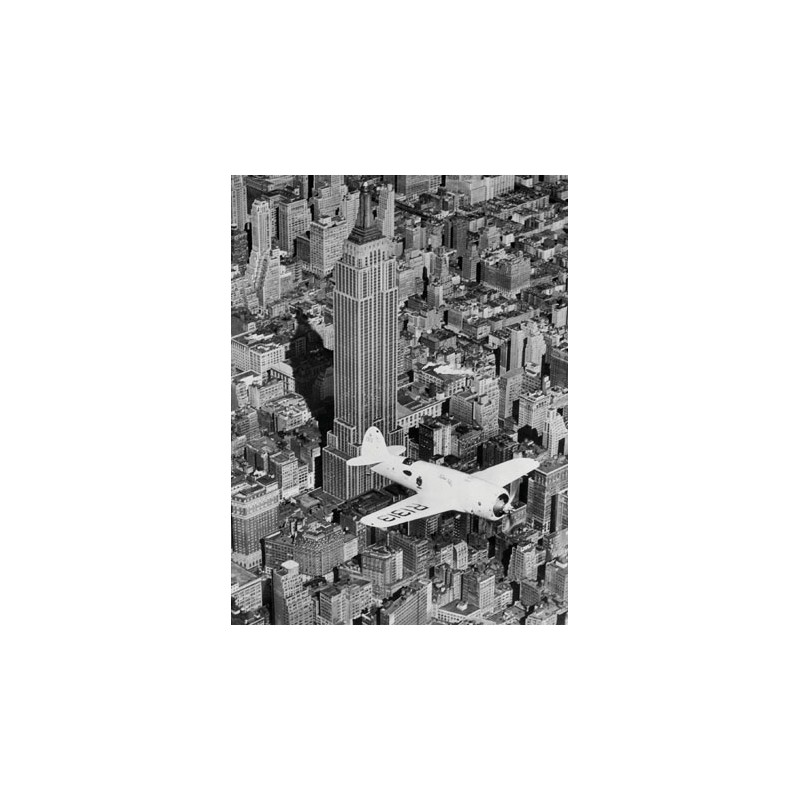 HAWKS AIRPLANE IN FLIGHT OVER NEW YORK CITY