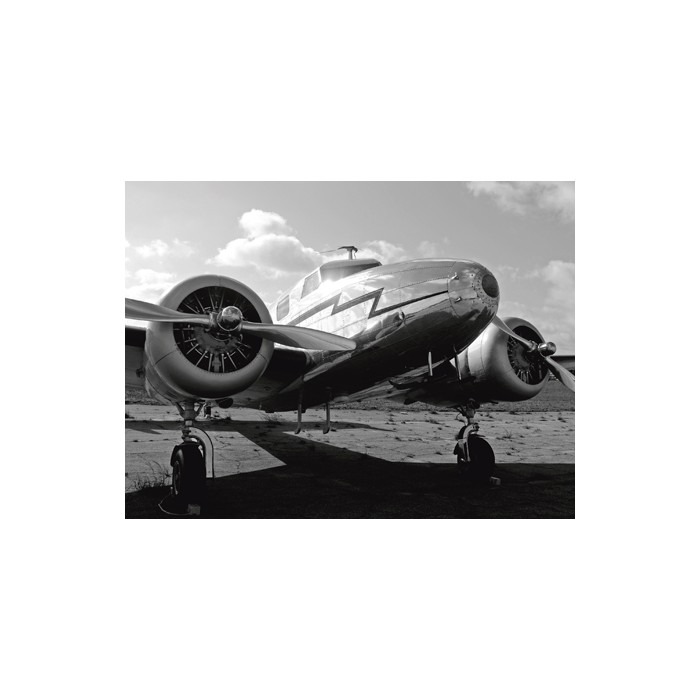 VINTAGE AIRPLANE (DETAIL)