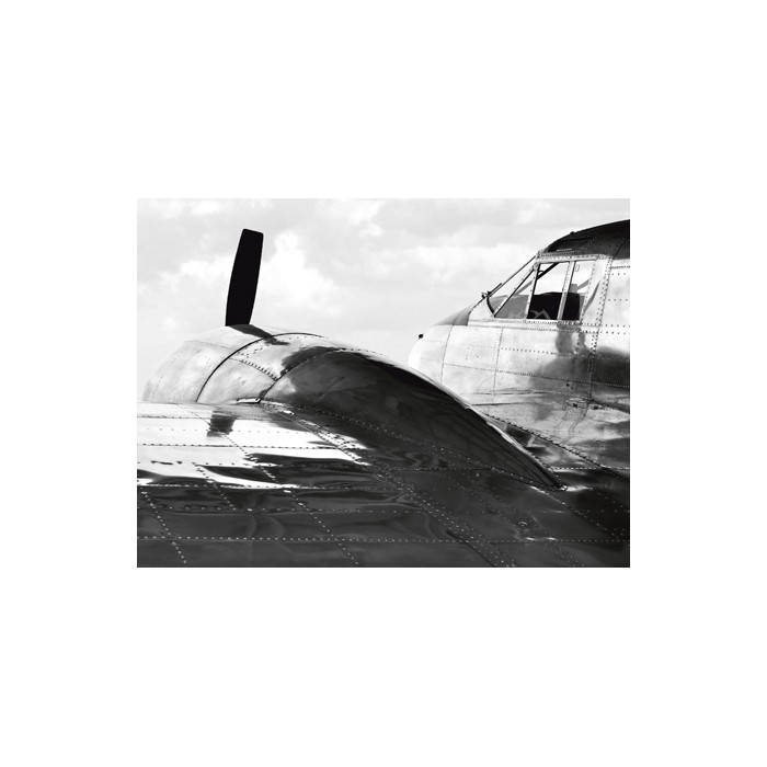 VINTAGE AIRCRAFT (DETAIL)