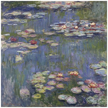 WATER LILIES 