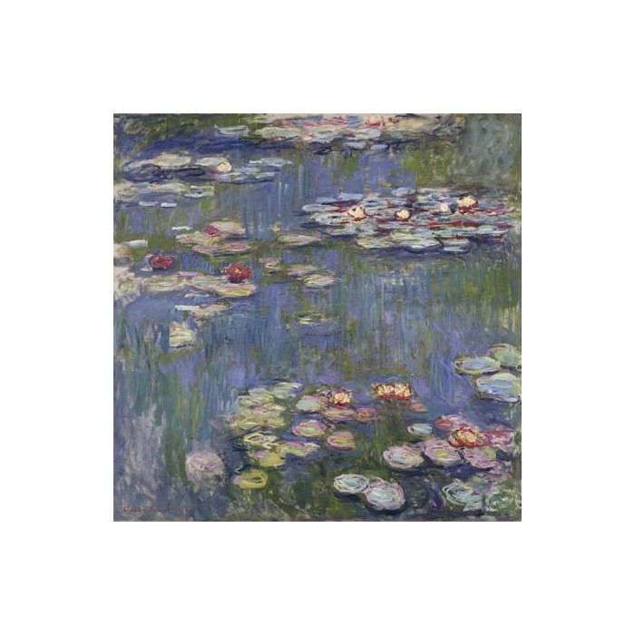 WATER LILIES 
