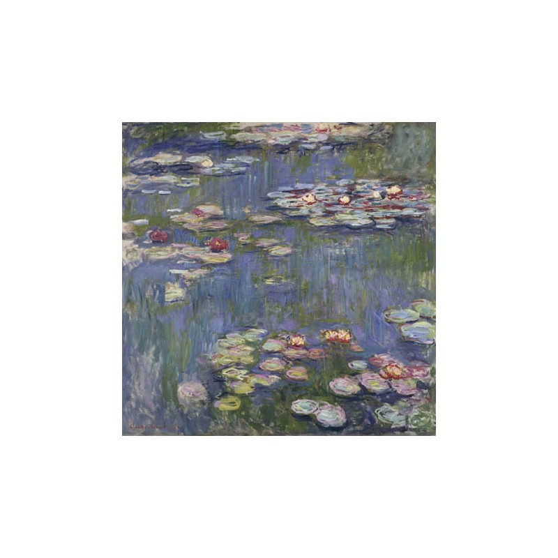 WATER LILIES 