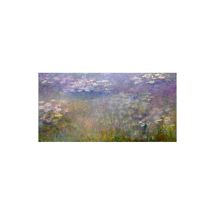 WATER LILIES