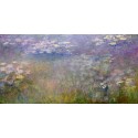 WATER LILIES
