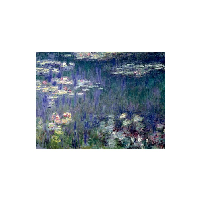 WATERLILIES: GREEN REFLECTIONS