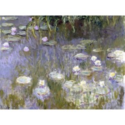 WATER LILIES