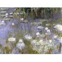 WATER LILIES