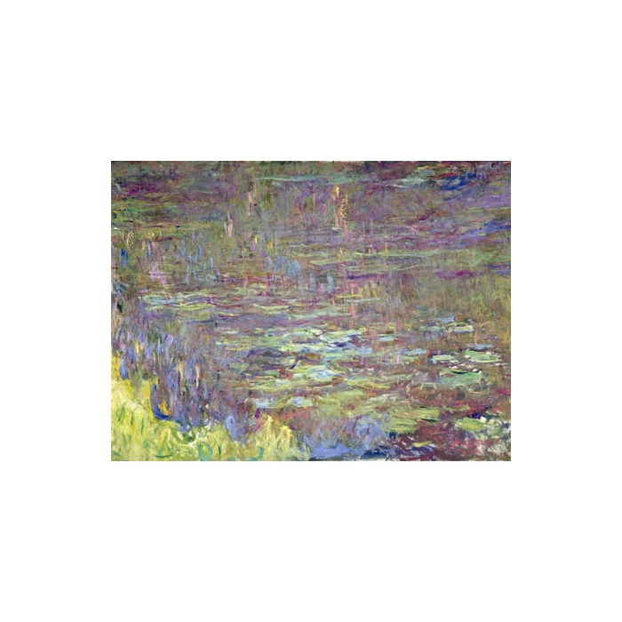 DETAIL OF WATERLILIES AT SUNSET