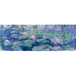 WATERLILIES