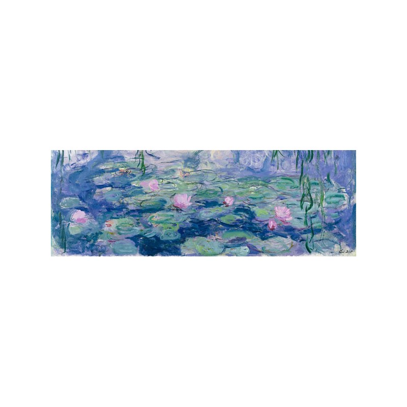 WATERLILIES