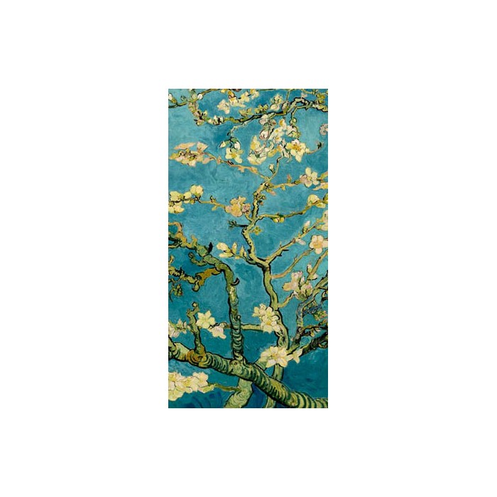 MANDORLO IN FIORE II