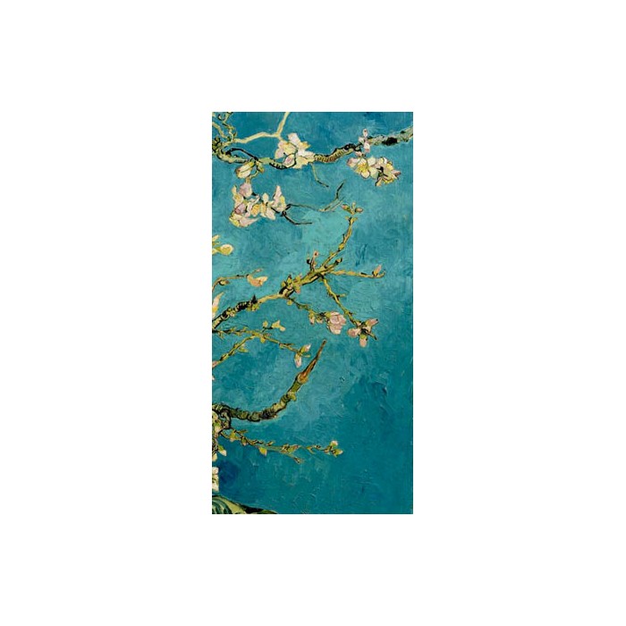 MANDORLO IN FIORE III