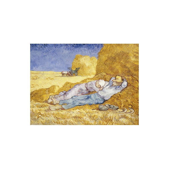 NOON: REST 