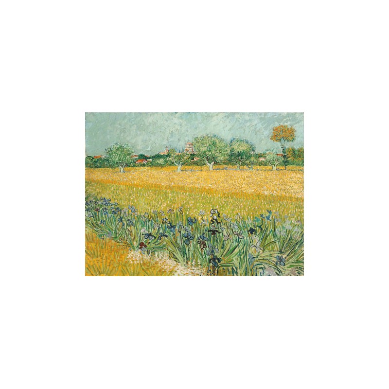 FIELD WITH IRISES NEAR ARLES 