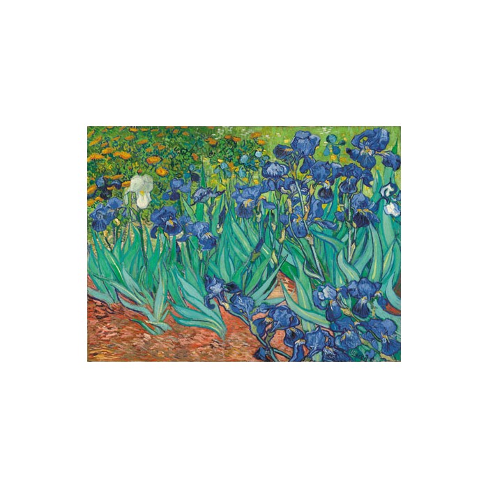 IRISES 