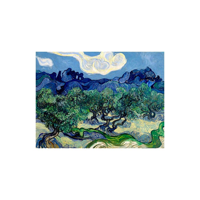 THE OLIVE TREES