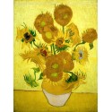 GIRASOLES