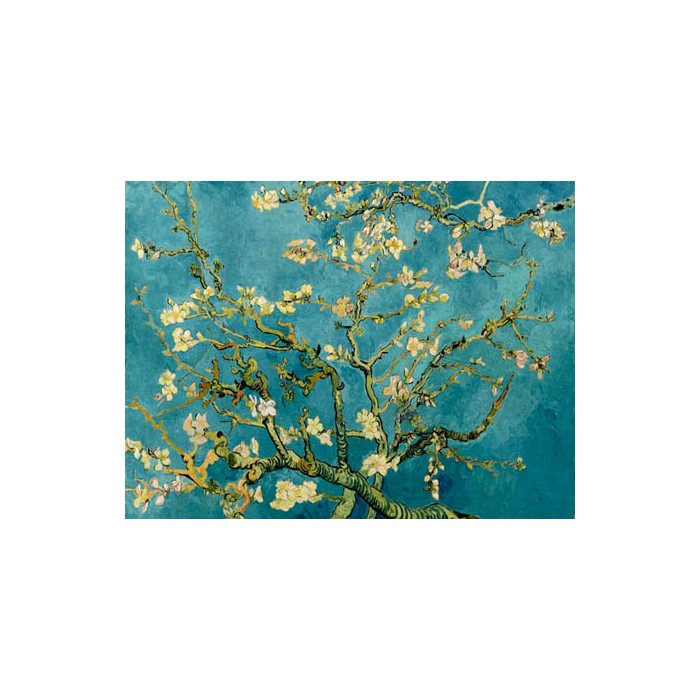 ALMENDRO EN FLOR