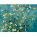 ALMENDRO EN FLOR
