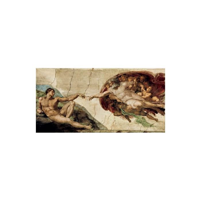 LA CREAZIONE DI ADAMO 