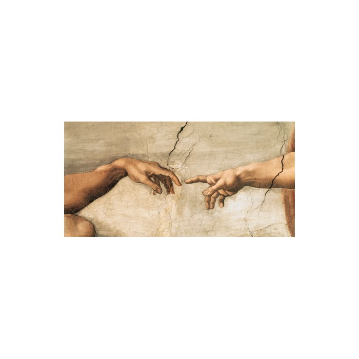 LA CREAZIONE DI ADAMO (DETAIL) 
