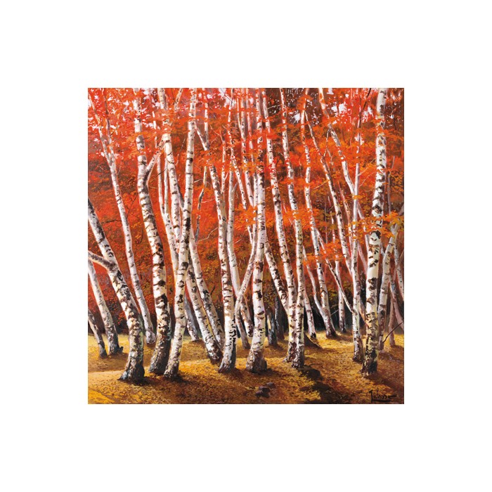 BOSCO DI BETULLE I
