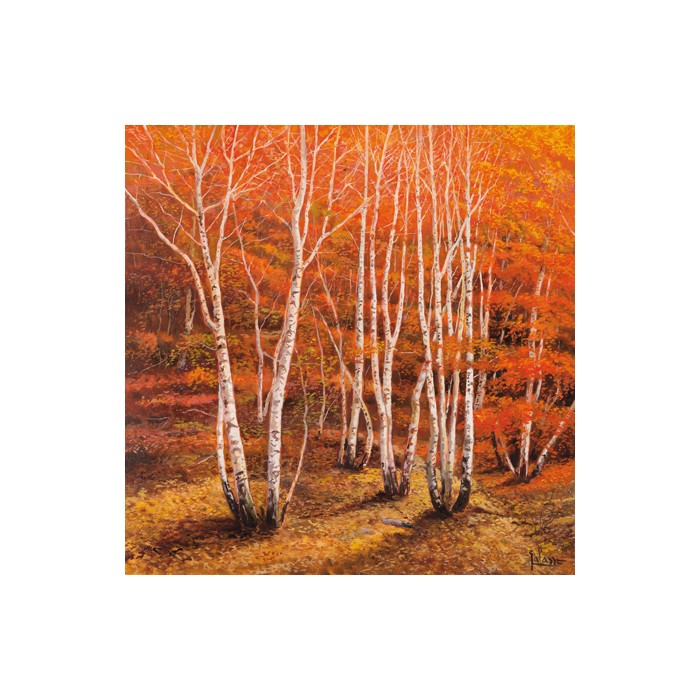 BOSCO DI BETULLE II