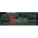 JAPANESE GARDEN