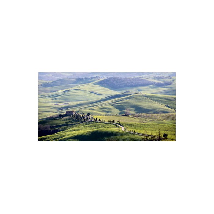 A ROAD IN TUSCANY