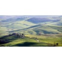 A ROAD IN TUSCANY