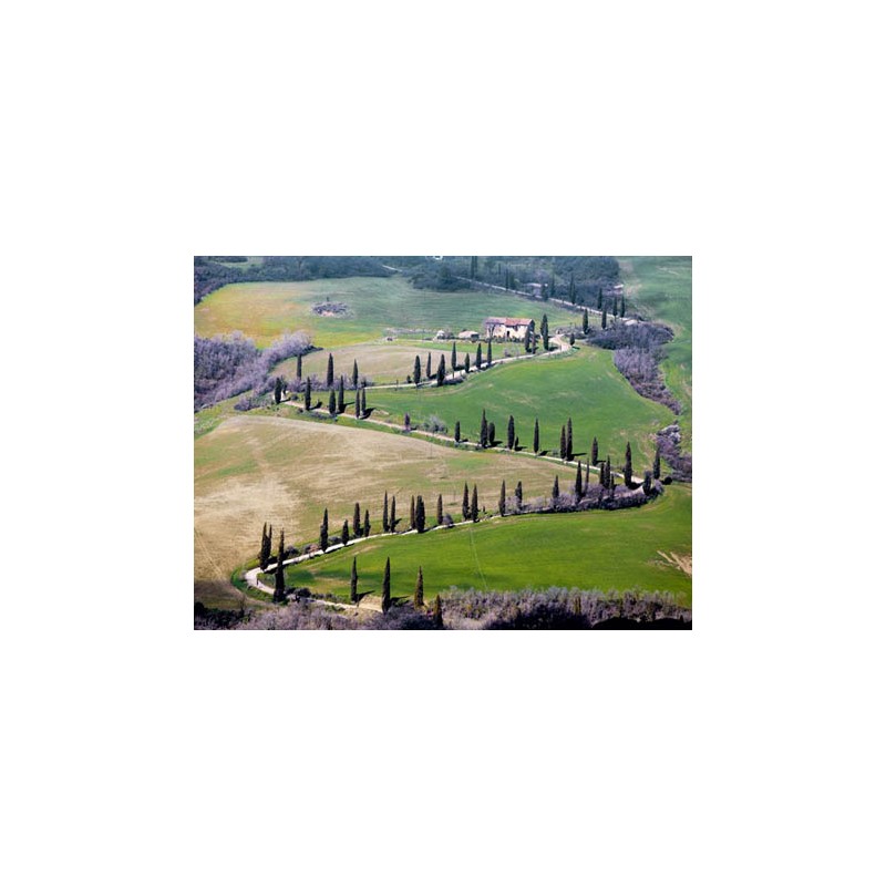 ROAD NEAR MONTEPULCIANO, TUSCANY