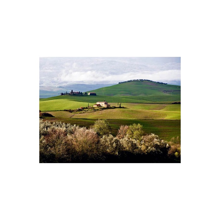 TUSCAN COUNTRYSIDE