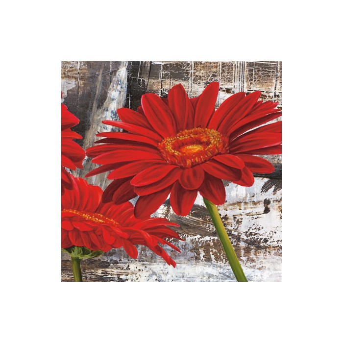 RED GERBERAS II