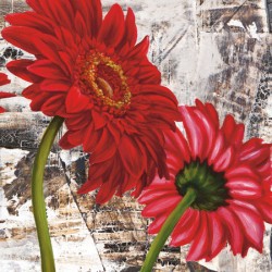 RED GERBERAS III