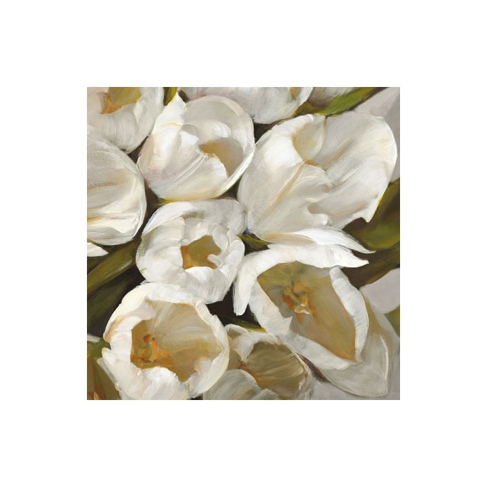 BIANCO II