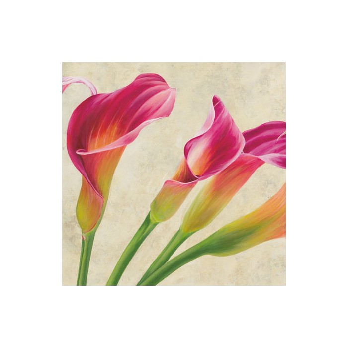 CALLA PARADE (DETAIL)