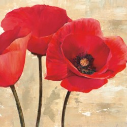 RED POPPIES (DETAIL)