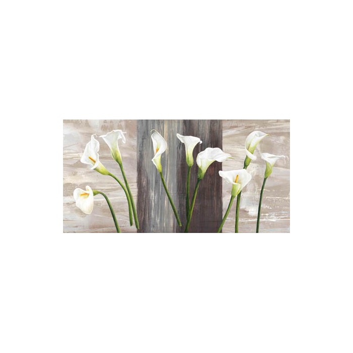 COUNTRY CALLAS