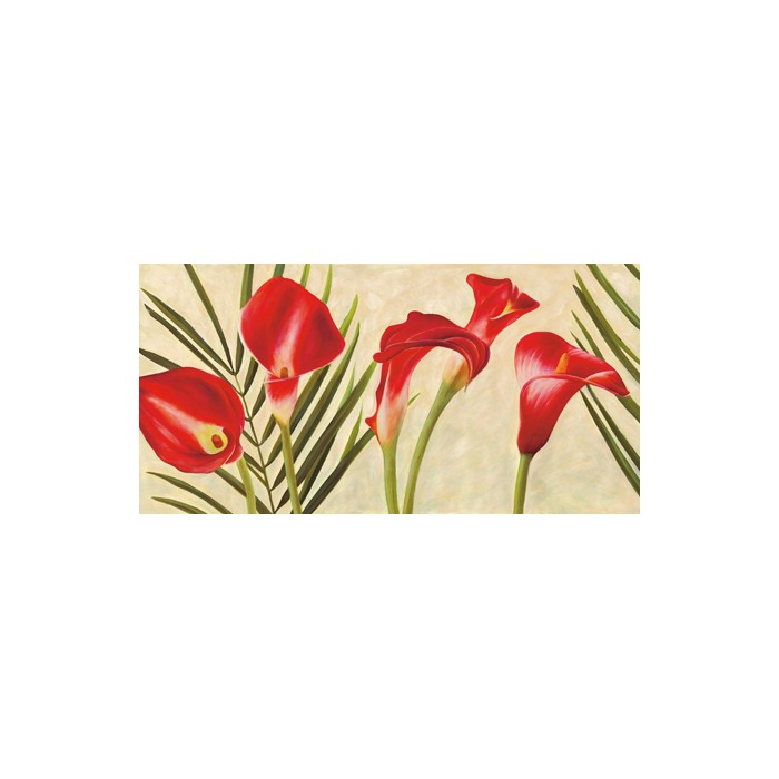RED CALLAS