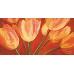 ORANGE TULIPS