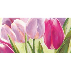 TULIPES