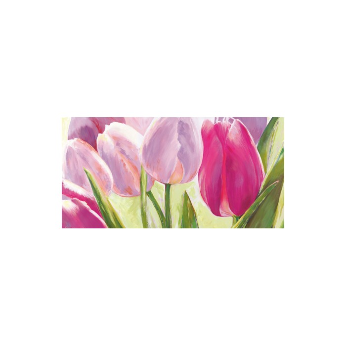 TULIPES