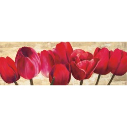 RED TULIPS